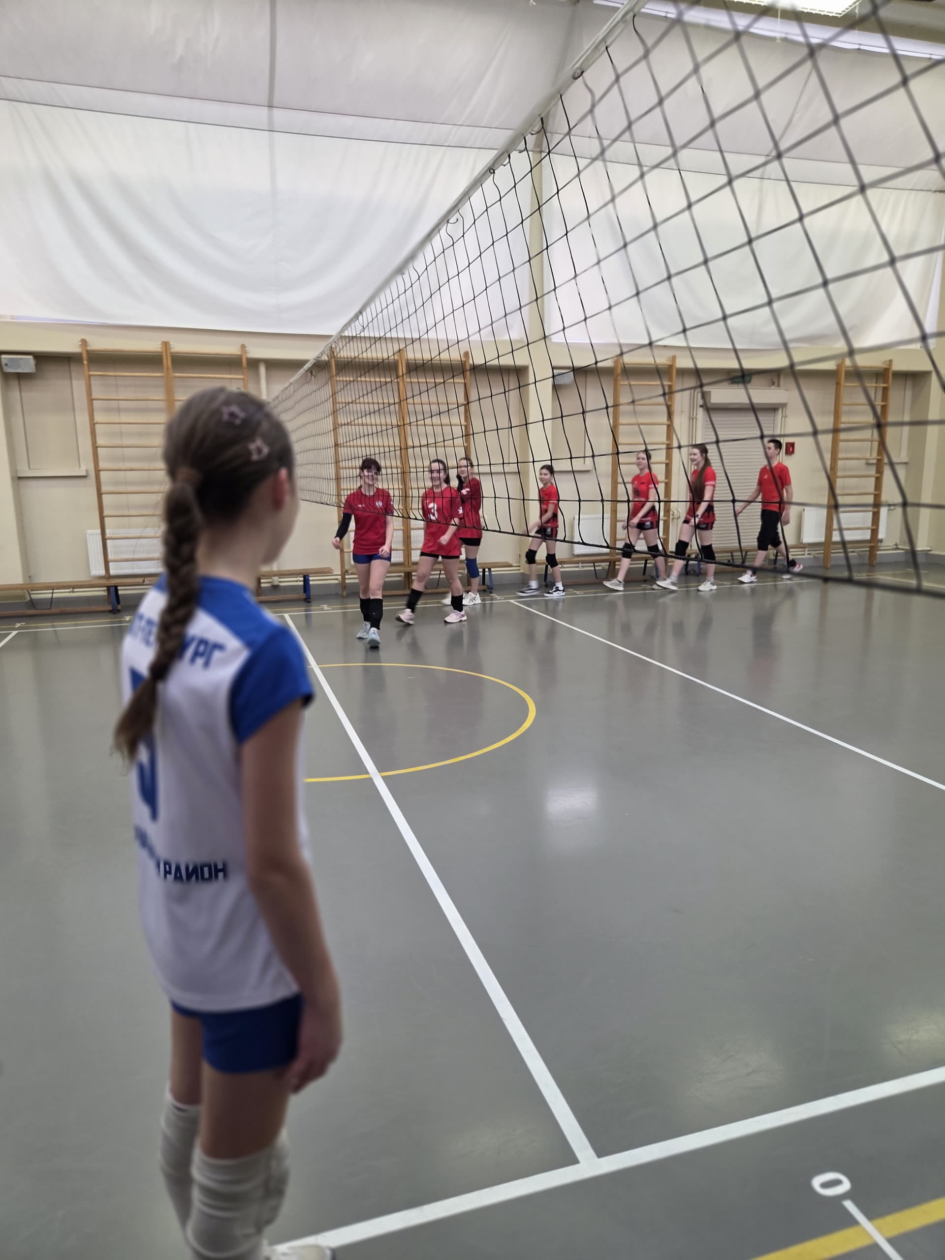 Волейболистка у сетки, снятая со спины, и команда в глубине зала